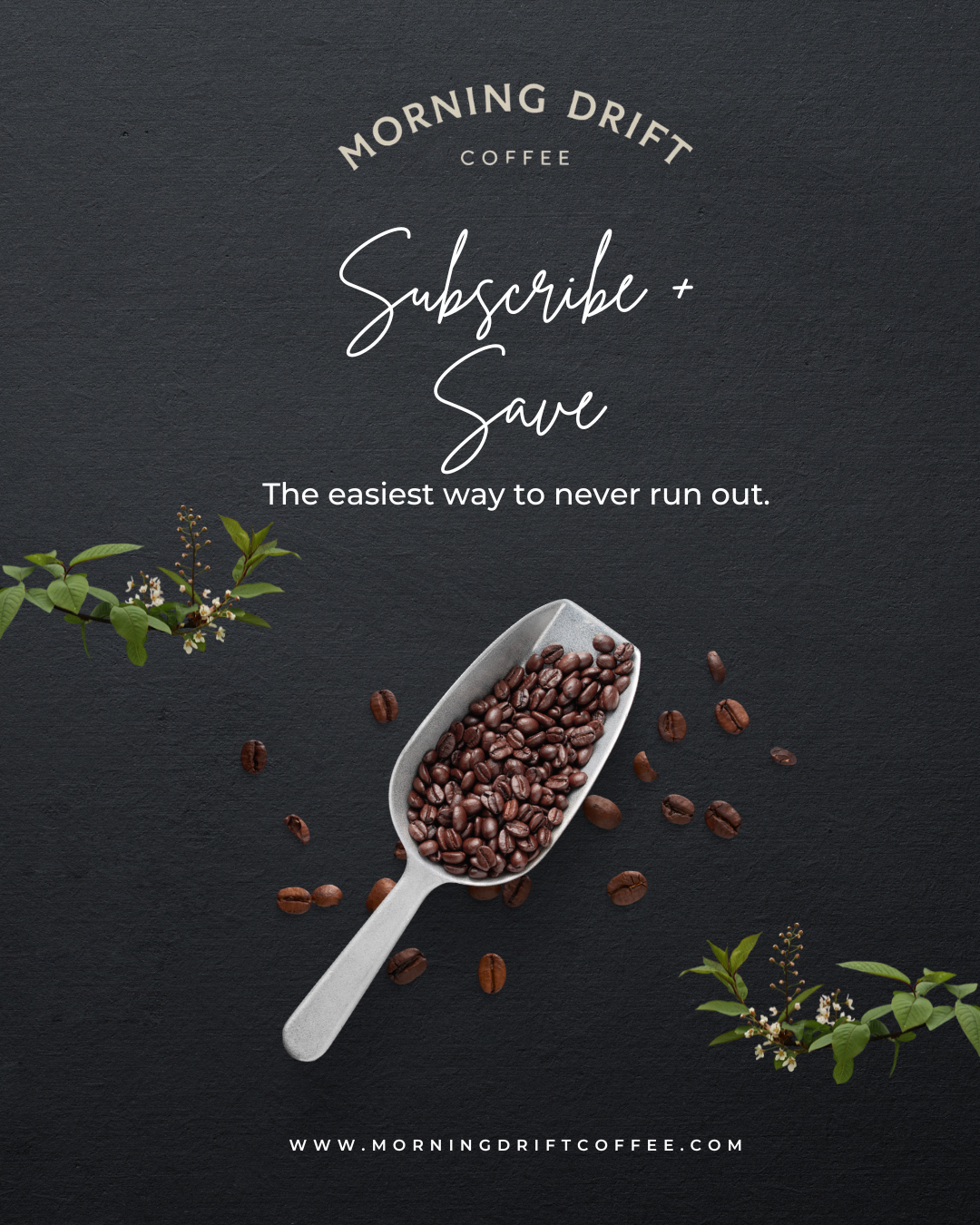 Why a Coffee Subscription Might Be the Easiest Upgrade to Your Morning Routine